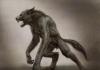 Werewolves among the Slavs The character of the wolf in folk tales