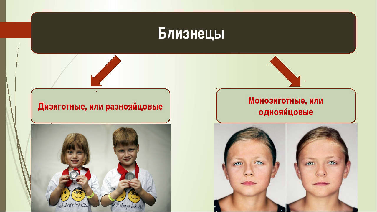 Чем отличается двойной. Однояйцевые (монозиготные) Близнецы. Монозиготные и дизиготные Близнецы. Монозиготные Близнецы и дизиготные Близнецы. Гетерозиготные Близнецы.